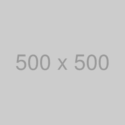 500x500